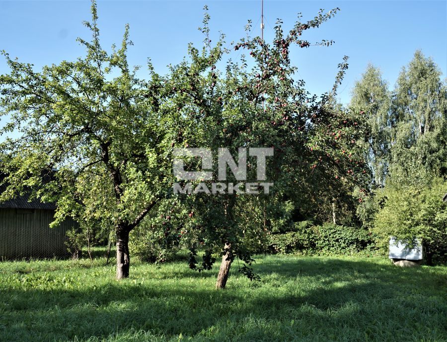 Žemuogių g. Vaiteliai - 1