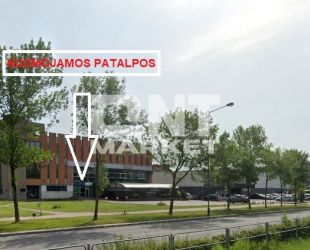 Vingio g. Klaipėda
