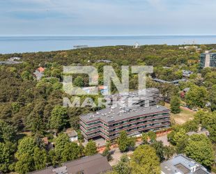 S. Daukanto g. Palanga